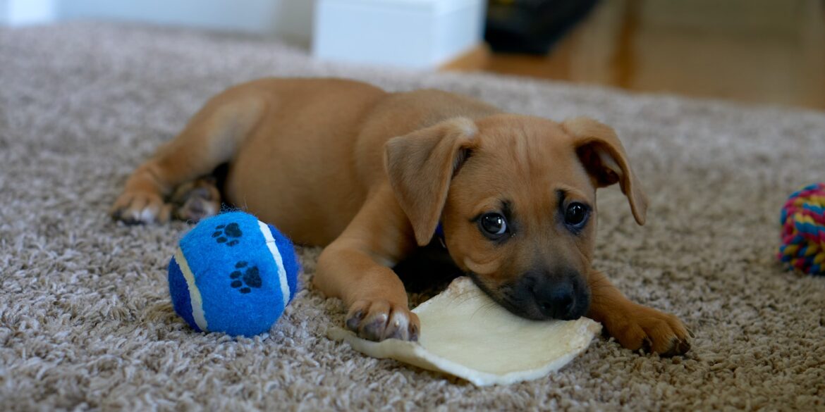 edge2edge media q25YRd6 6oA unsplash