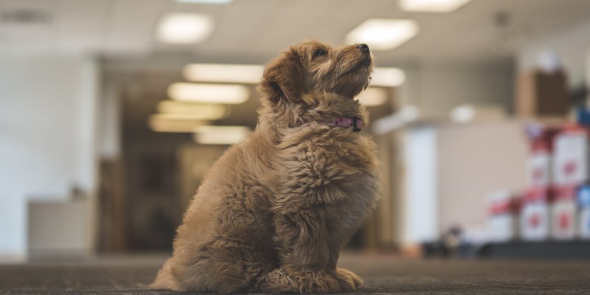 pexels photo 14058861